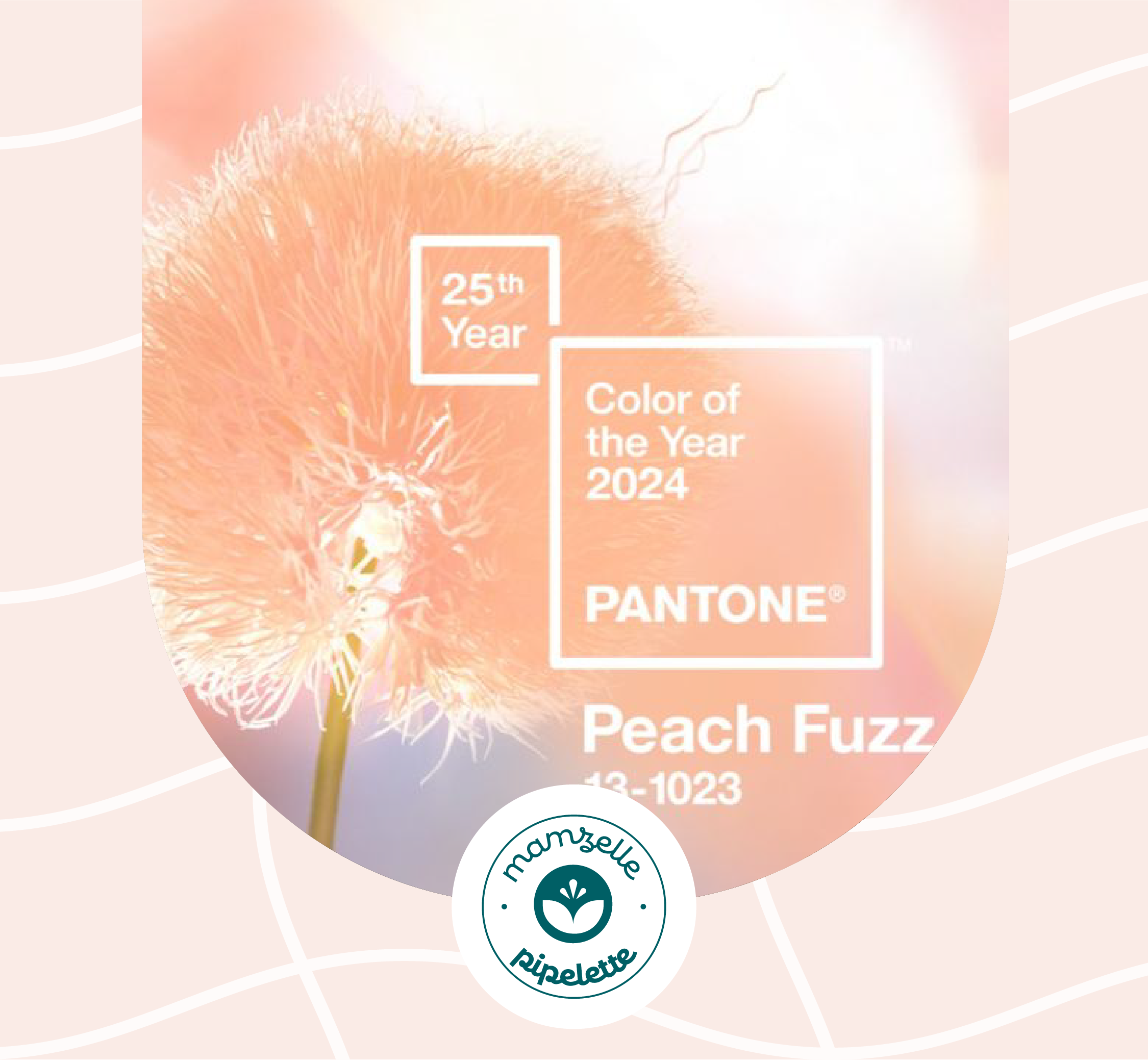 Lire la suite à propos de l’article Couleur de l’Année Pantone 2024 : Peach Fuzz