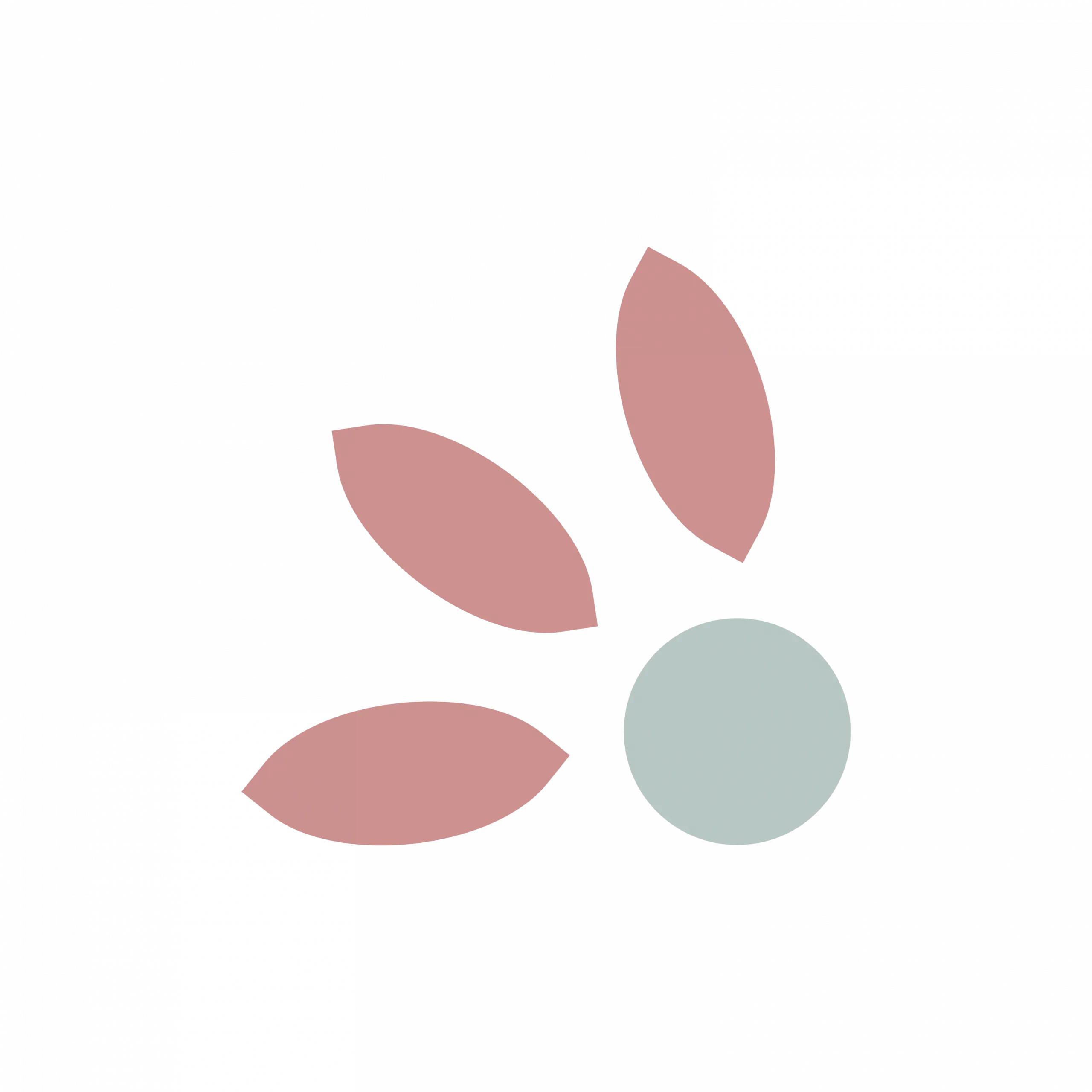 fleurs, illustration réalisée par le studio Mamzelle Pipelette